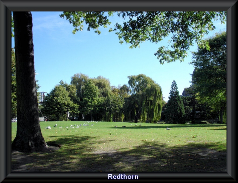 Parque de Christchurch