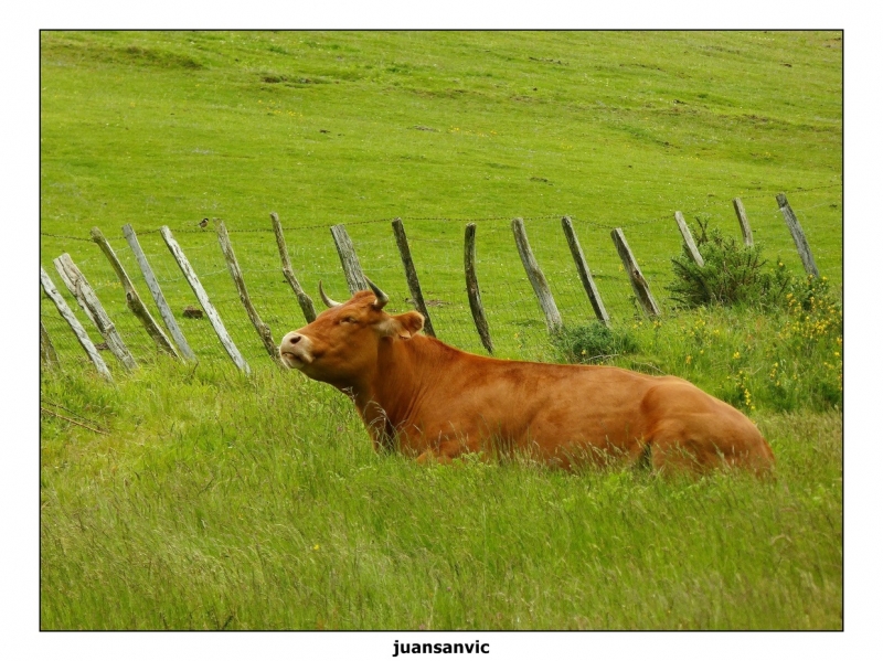 Escenas rurales 1