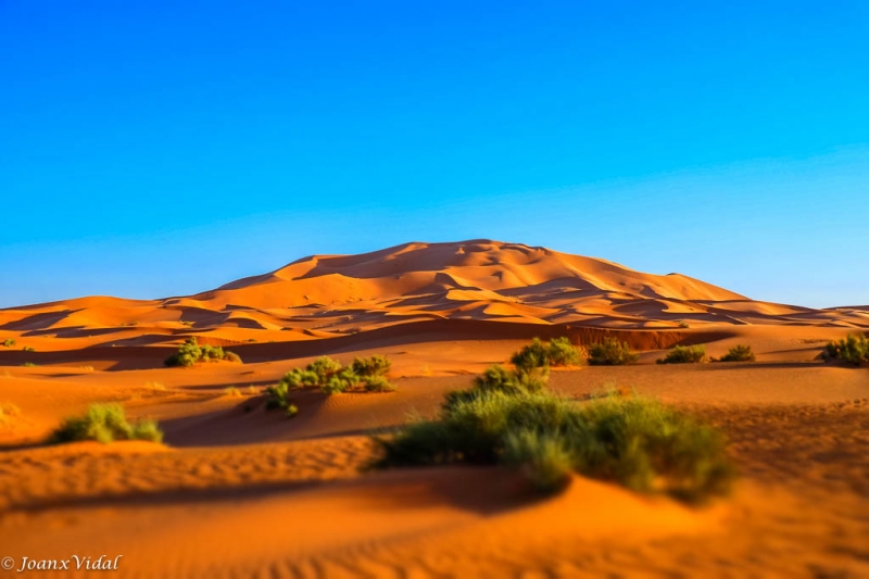 Dunas del Erg Chebbi