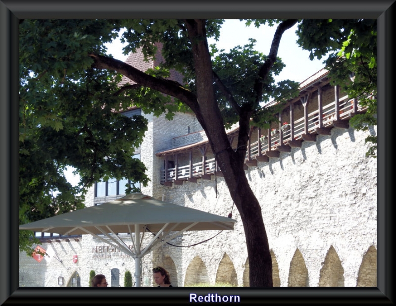 Barbacana de la muralla de Tallinn