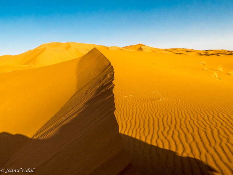 cortada por el viento