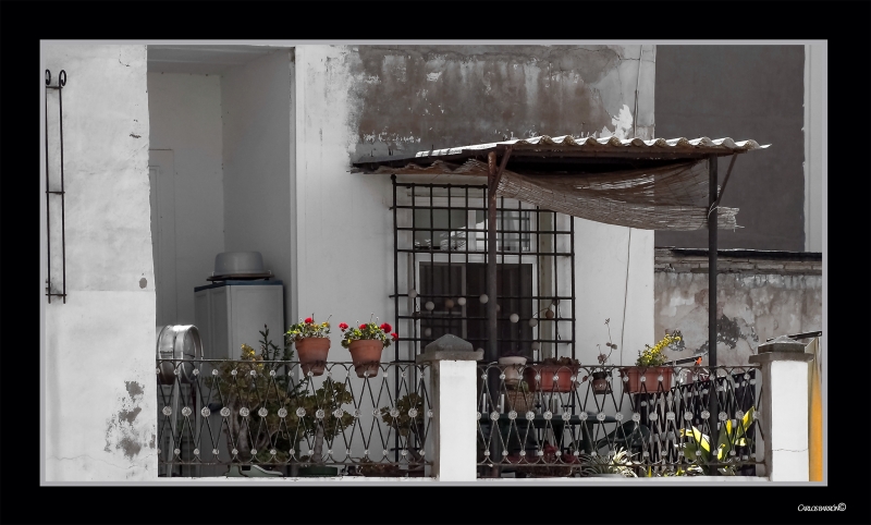 LA TERRAZA DE LOS GERANIOS ROJOS