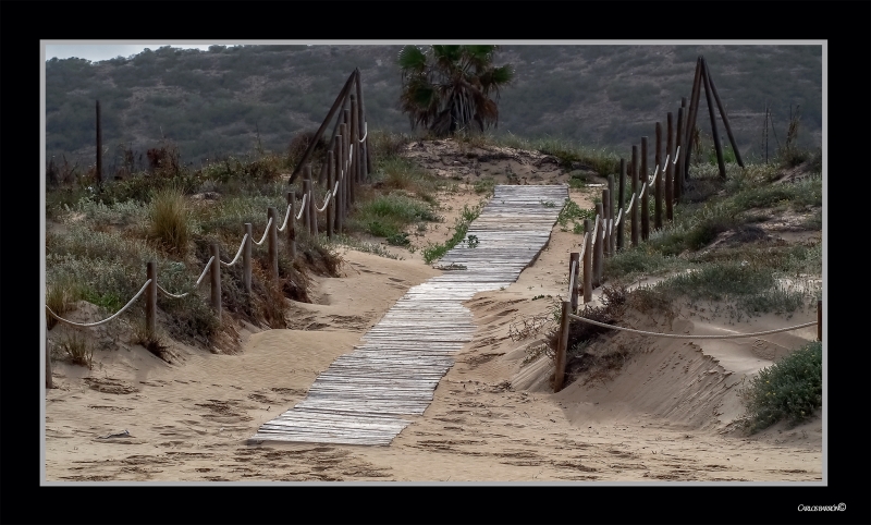 EL SENDERO MENGUANTE