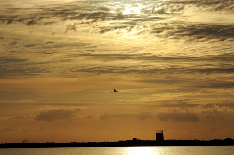 Cielo amarillo