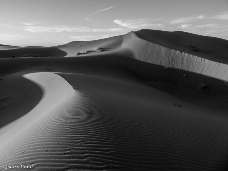 MAR DE DUNAS