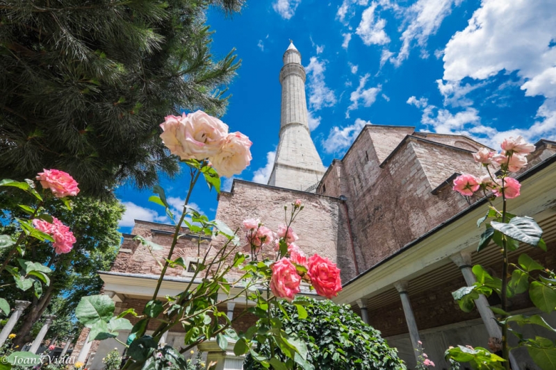 Aya Sofia