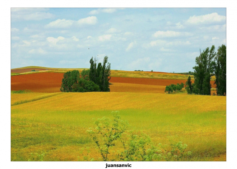 Campos de Soria