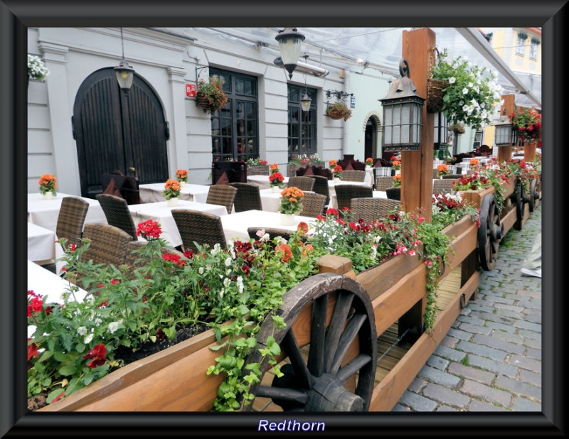 Agradable terraza con flores