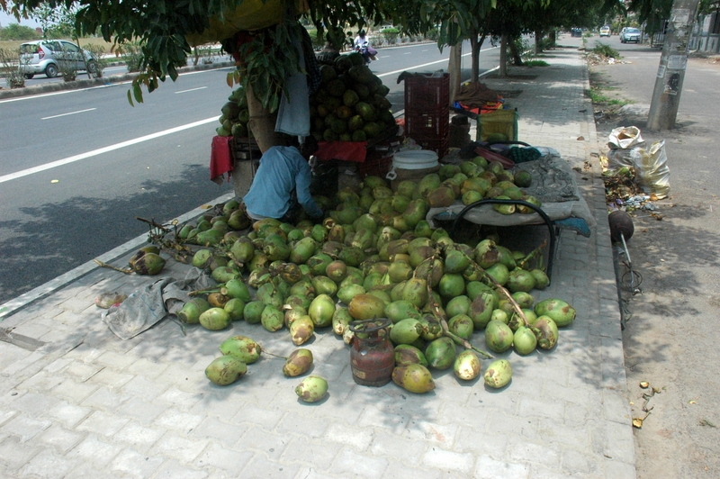 Vendiendo cocos
