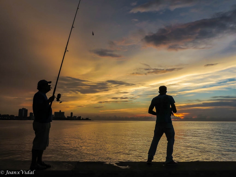 Pescando al atardecer