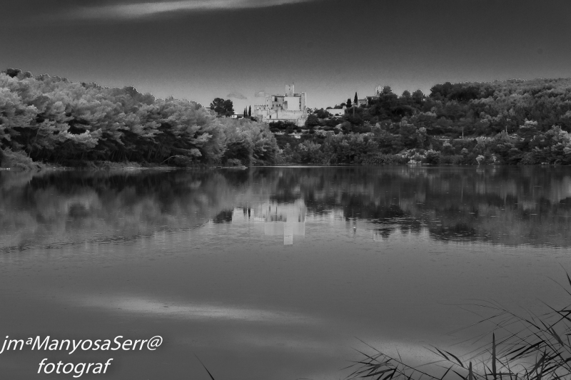 Reflexos de tarda