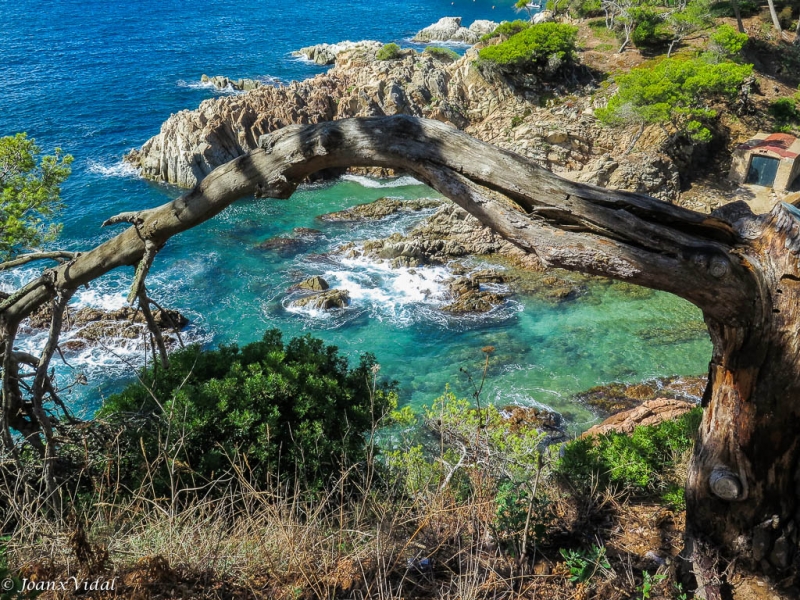 Cala del Rac