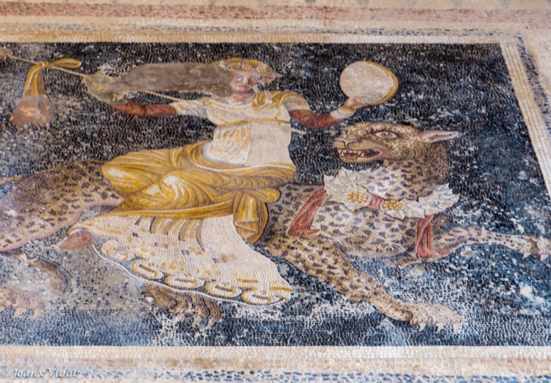 mosaico 