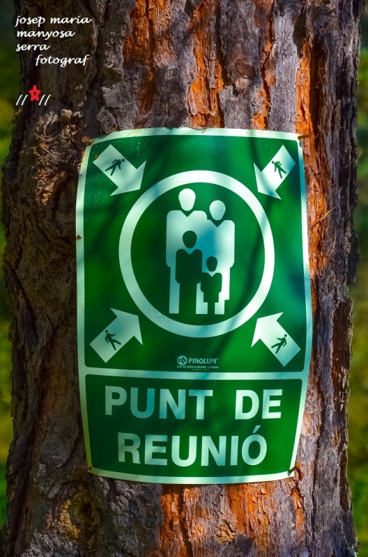 Punt de reuni