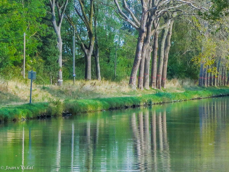 Canal du Midi