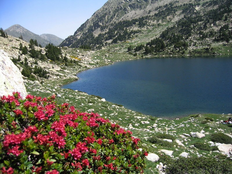 LLAC BLAU