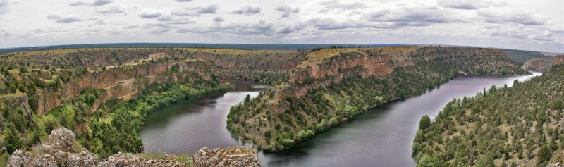 panormica