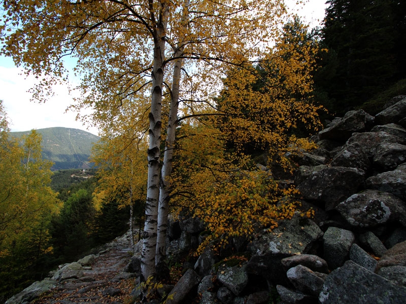 Camino de les Fonts Andorra