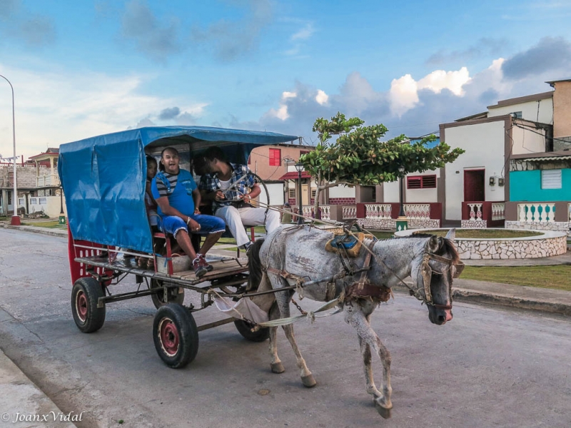 transporte urbano