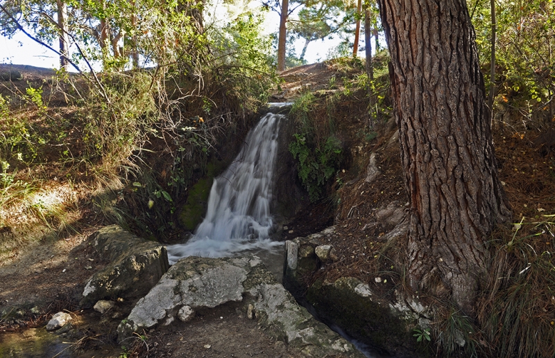 Fuentes del Marques