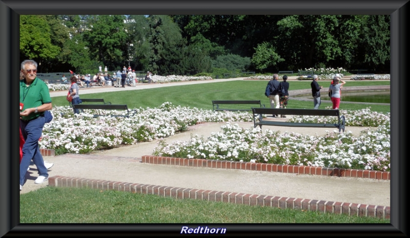 Parque Lezienki