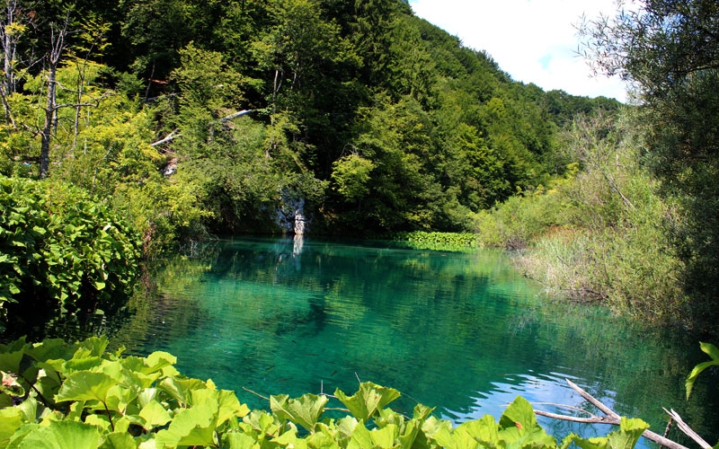 verde que te quiero verde