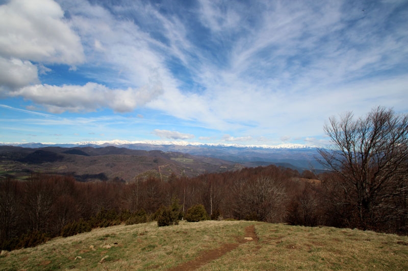 Vista de los Pirineos nevados desde la cima del Puigsacalm