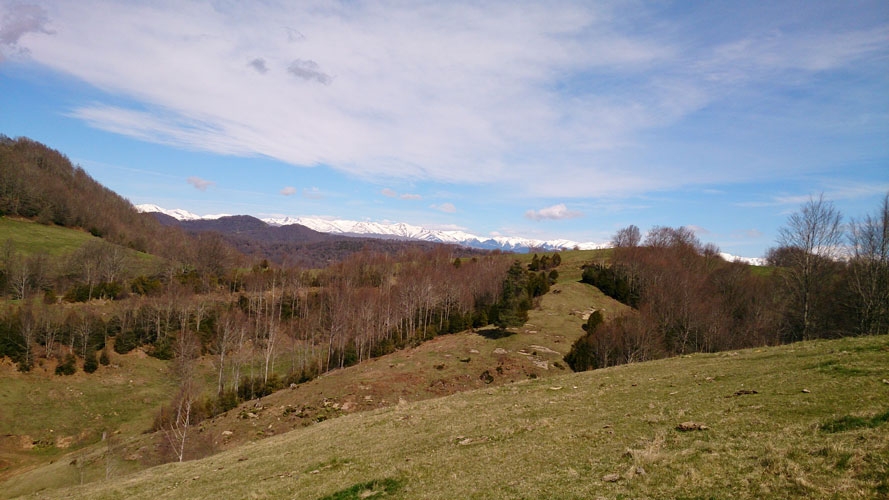 Vista pirineos Catalanes