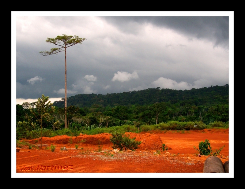 Preludio de tormenta