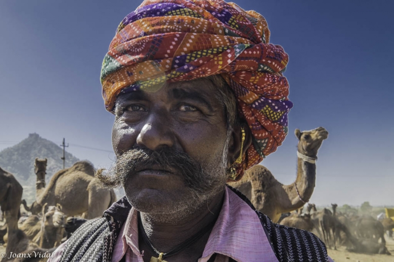 ojeador de camellos