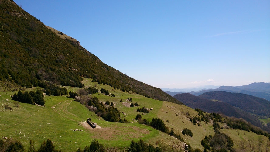 Prados pastura