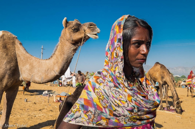 cuidadora de camellos