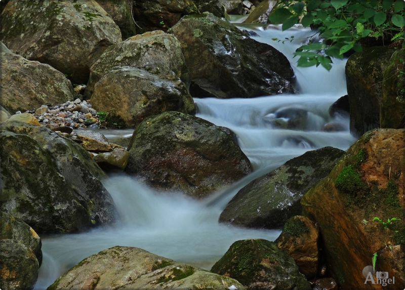 entre rocas...