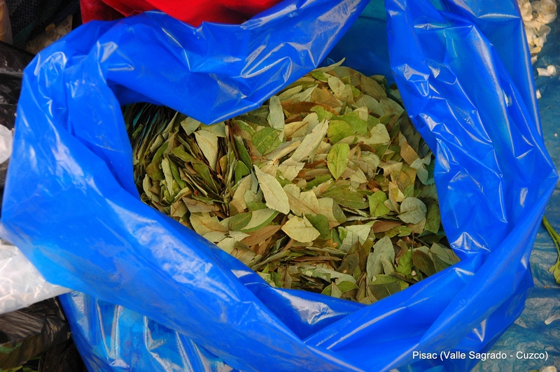 Mercado. Coca