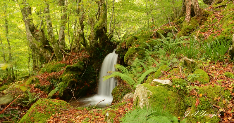 el sonido del agua