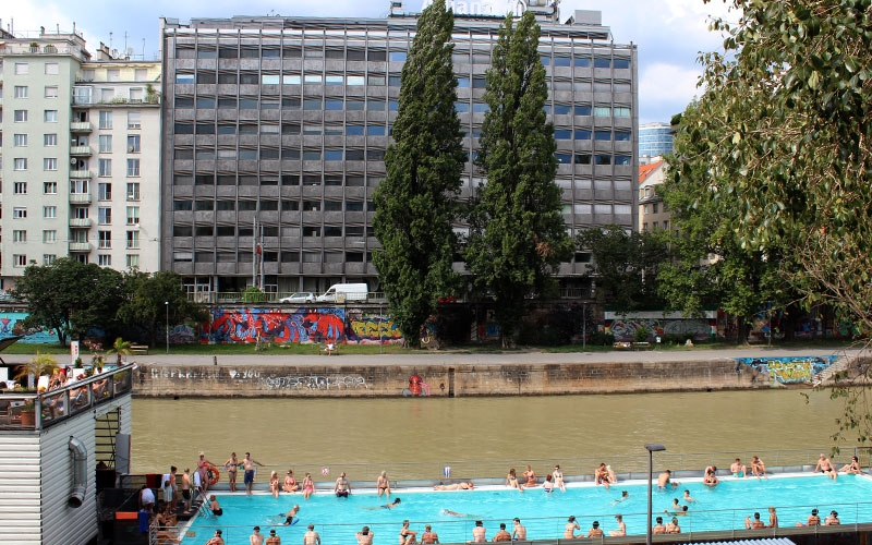 Danubio Marron con piscina azul