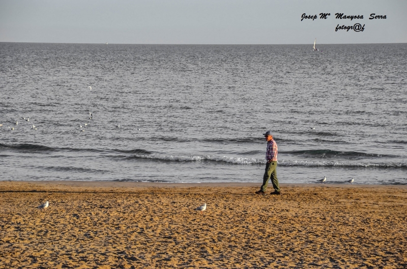 Pensaments a la mar