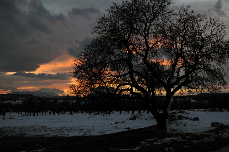 Atardecer de nieve