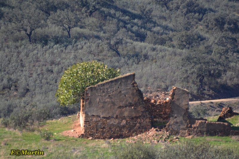 casa mina