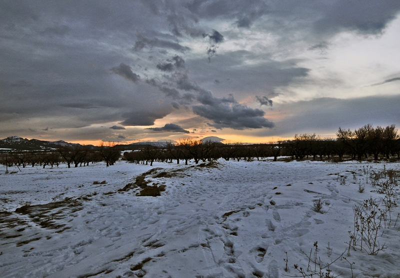 Tarde de frio