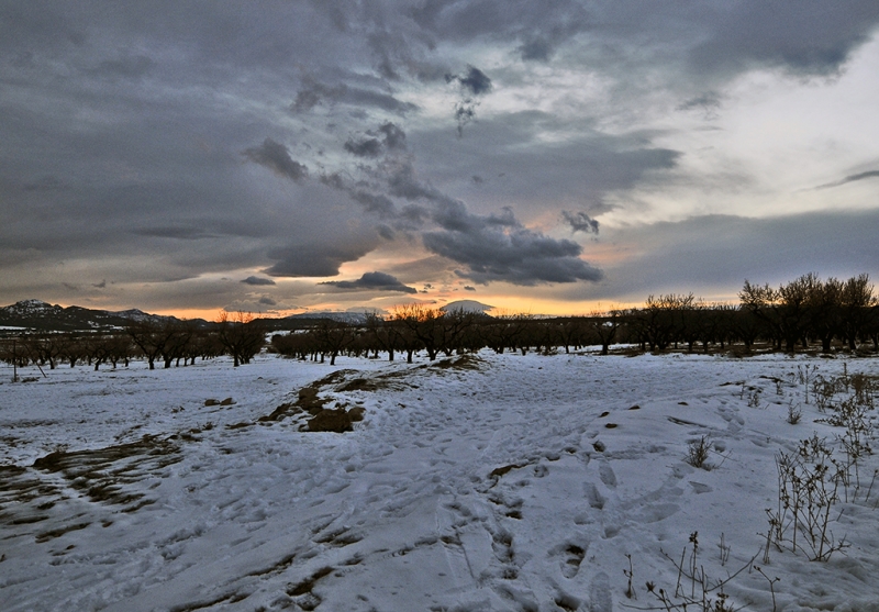 Tarde de frio