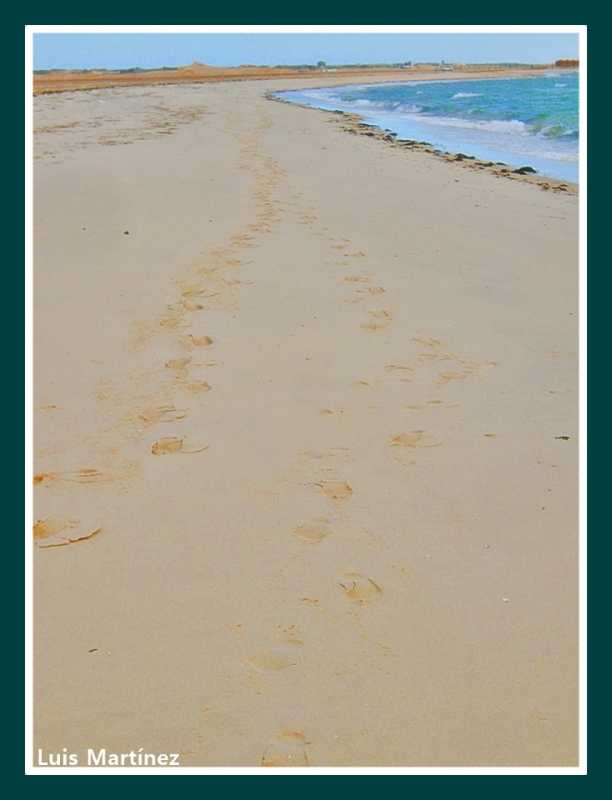 caminando a la bahia azul