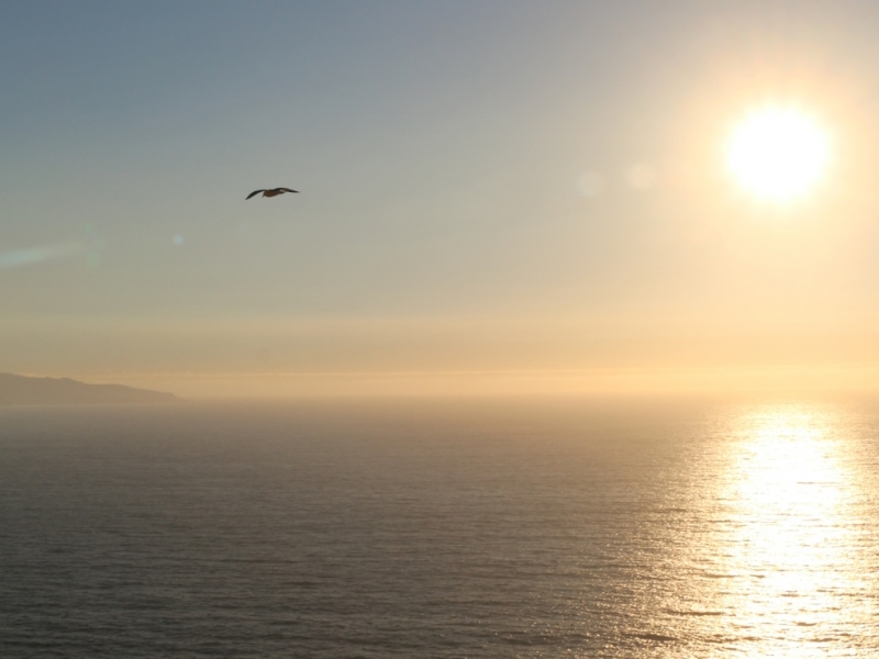 Tarde para volar