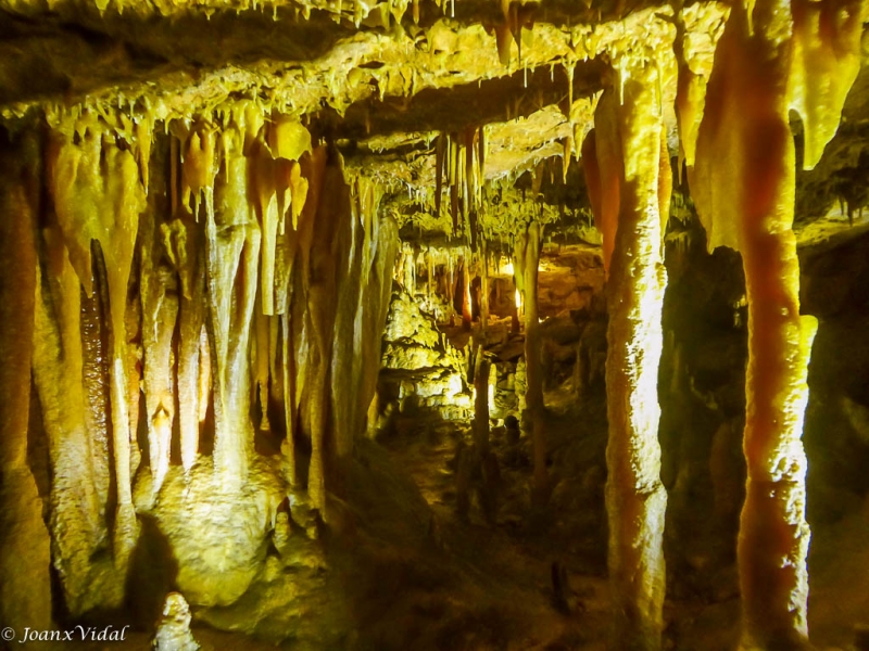 Cueva de Naraakorte