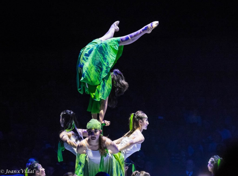 Xinjiang Acrobatic Troupe