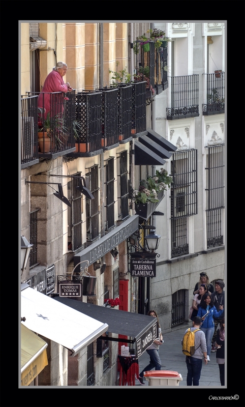 VIGILANDO A LOS GUIRIS EN EL MADRID ANTIGUO