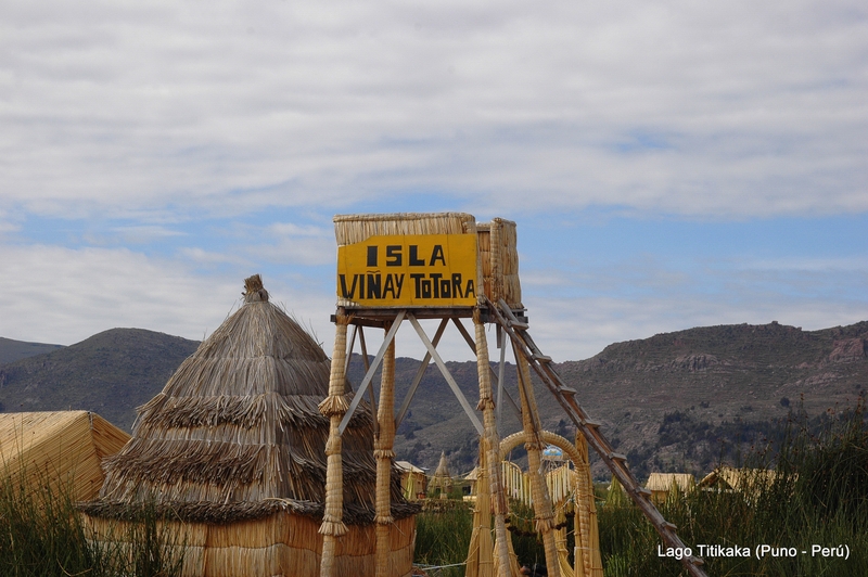 Isla de Vinay Totora