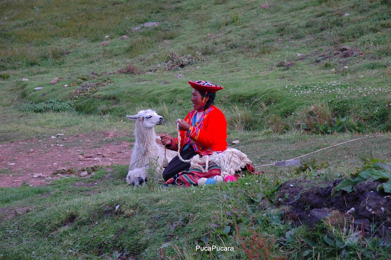 Esperando