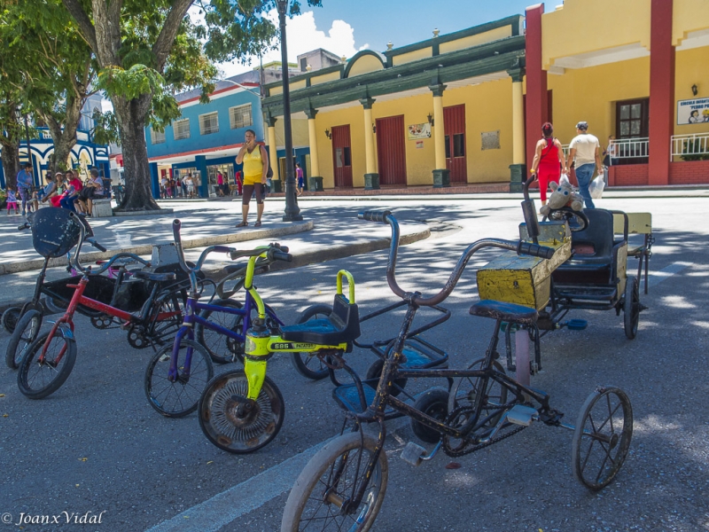 bicicletas a la sombra