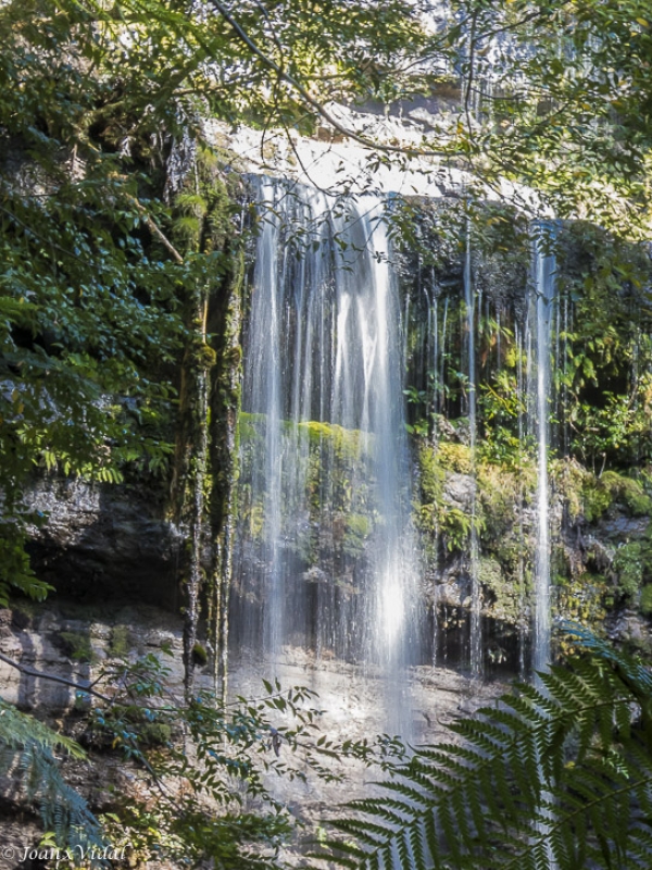 Cascadas Horseshoe